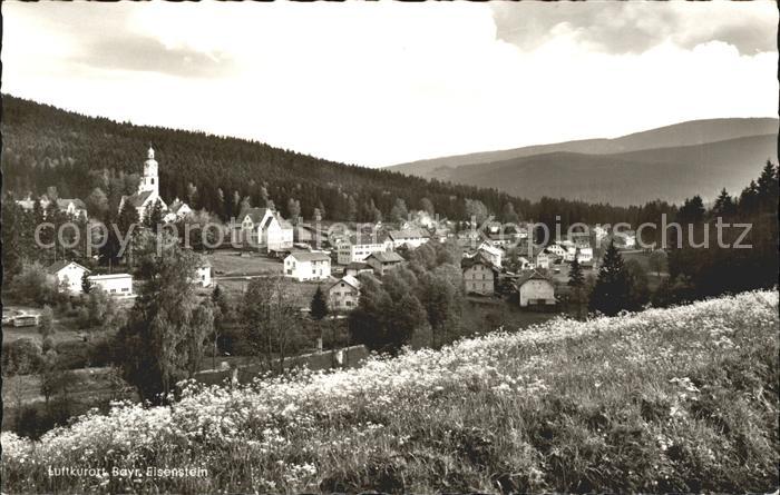 Bayrisch Eisenstein Panorama