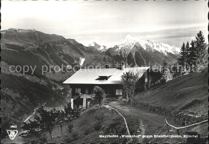 Mayrhofen Zillertal Wiesenhof mit Brandbergkolm