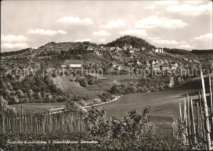 Loewenstein Panorama