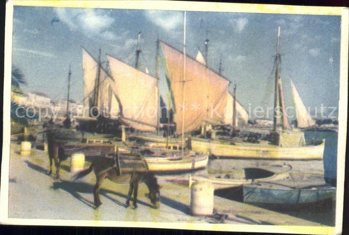 Split Spalato Segelboote Esel
