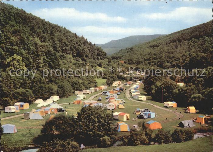 Hirschhorn Neckar Campingplatz Luftkurort