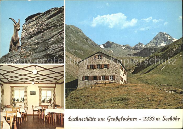 Kals Grossglockner Lucknerhuette Berghaus am Grossglockner Steinbock