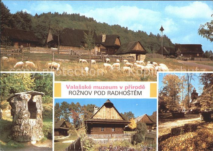 Roznov pod Radhostem Valasske muzeum v prirode Museum Schafe