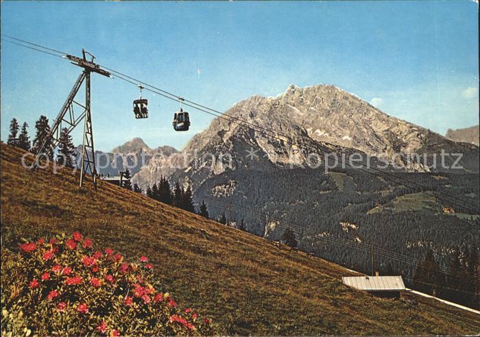 BERCHTESGADEN Bayern Jennerbahn Bergbahn Alpenflora Alpenpanorama