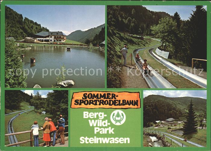 Todtnau Schwarzwald BW Berg-Wild-Park Steinwasen Sommerrodelbahn