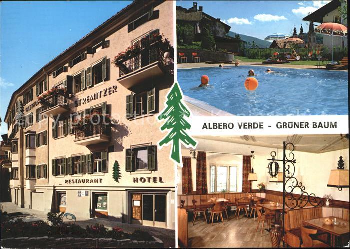 Bressanone Albero Verde Gruener Baum