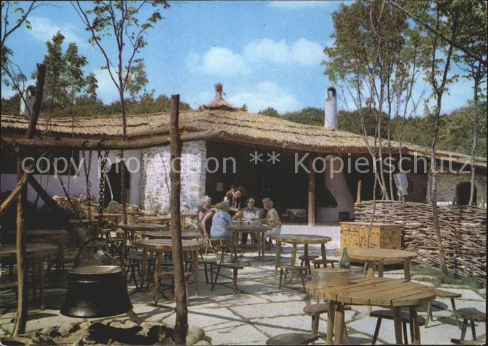 Varna Warna Zlatni piassatzi Koscharite