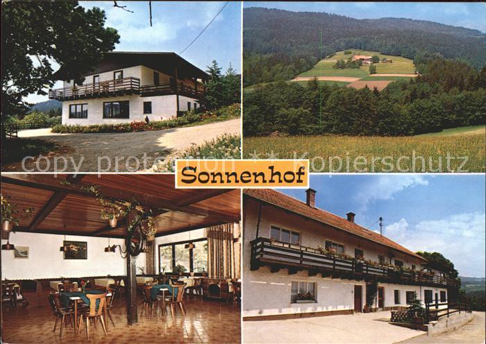 Sonnhofen Kuenzelsau Pension Berg Wald