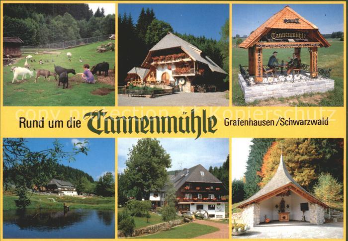 Grafenhausen Schwarzwald Gasthof Tannenmuehle
