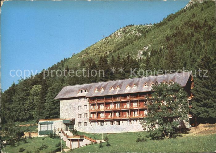 Brasso Brasov Kronstadt Hotel Bradul