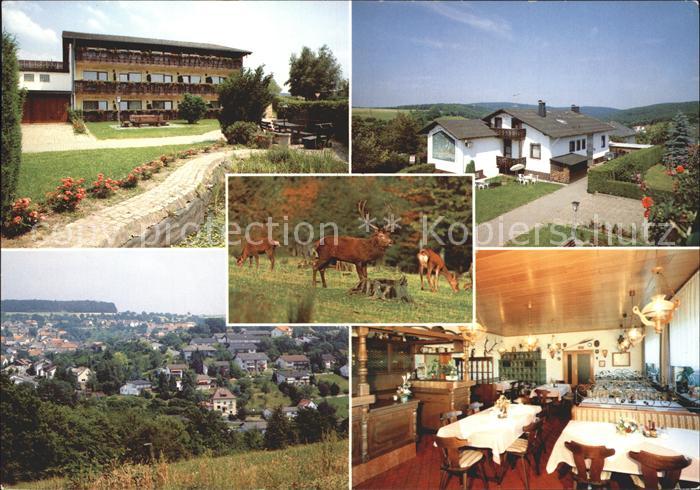 Luetzelbach Odenwald Pension Talblick Reh