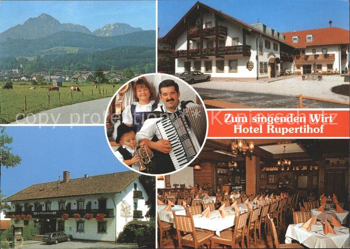 Ainring Zum singenden Wirt Hotel Rupertihof Musikinstrument