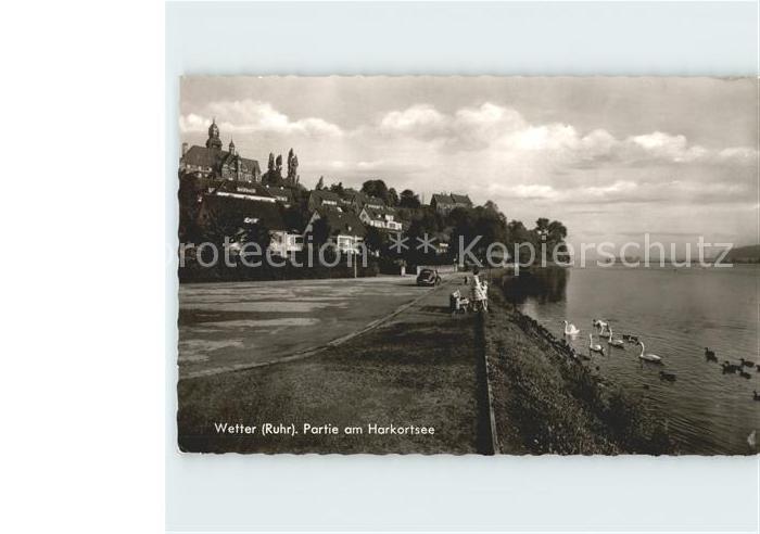 Wetter Ruhr Horkortsee Schwaene