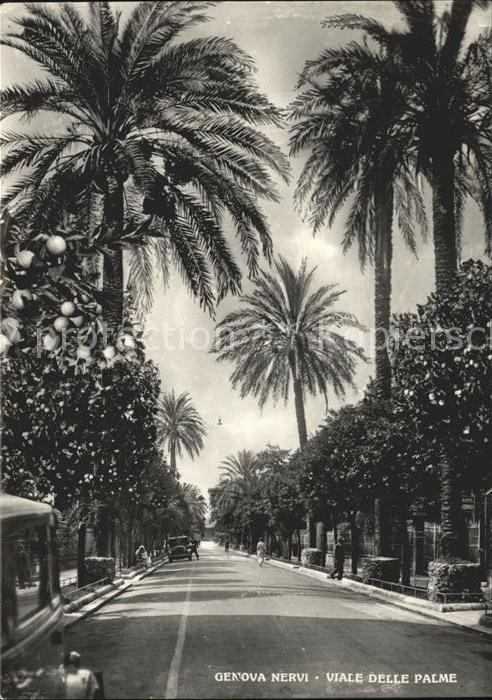 Nervi Viale delle Palme