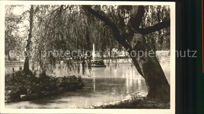 Bad Sulza Schwanenteich Springbrunnen