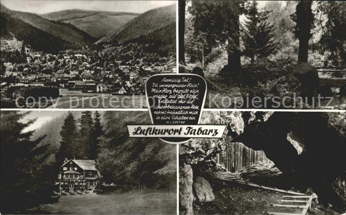 Tabarz Teilansicht Wald Haus