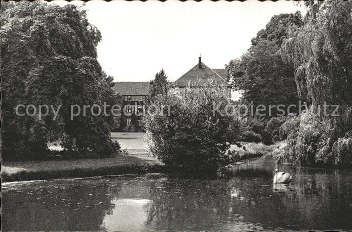 Bad Driburg Im Kurpark