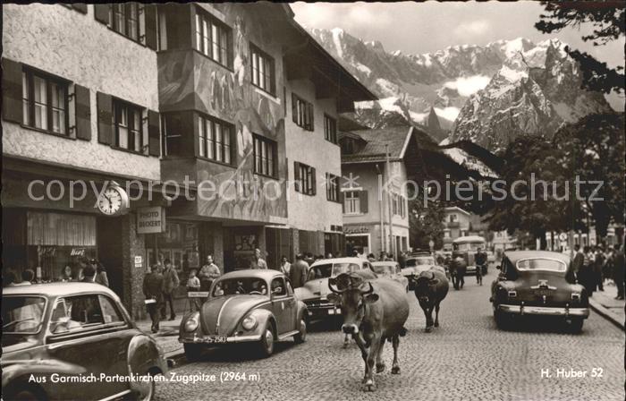 GARMISCH-PARTENKIRCHEN Bayern Zugspitze Kuehe Photo Bickert