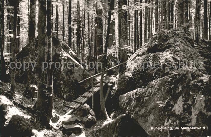 Ruhpolding Bayern Maerchenwald