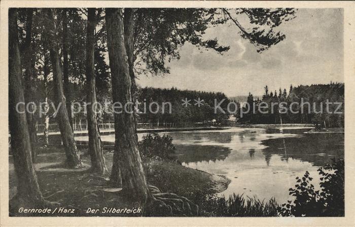 Gernrode Harz Der Silberteich