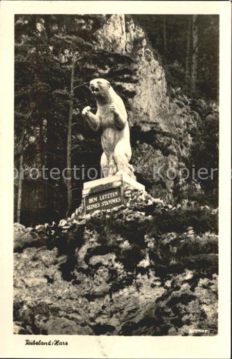 Ruebeland Harz Dem letzten seines Stammes