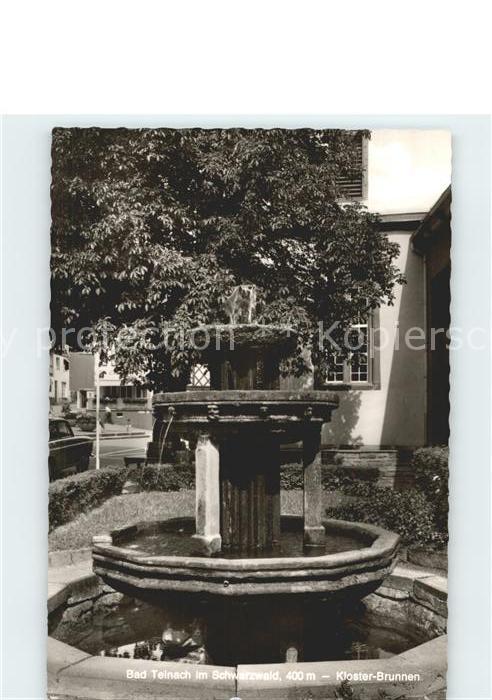 Bad Teinach-Zavelstein Kloster Brunnen