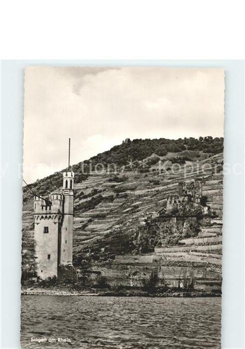 Bingen Rhein Burg