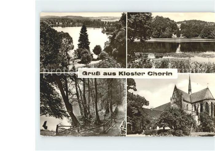 Chorin Kloster See Wald
