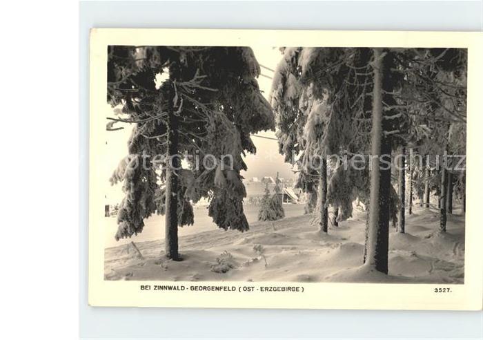 Zinnwald-Georgenfeld Walddurchblick