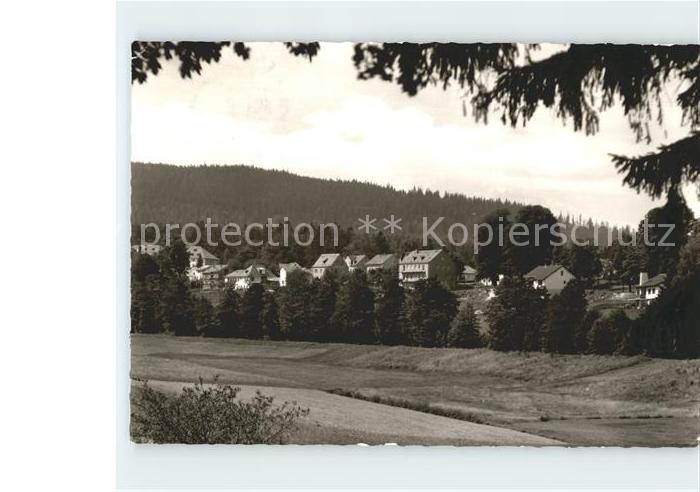 Bad Alexandersbad Ortsansicht