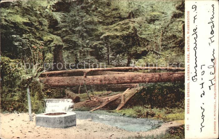 Baeume Trees Mineral Springs Ravenna Park Seattle Wa