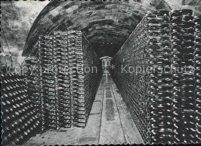Wein Casa Codorniu San Sadurni de Noya Botellas en cava