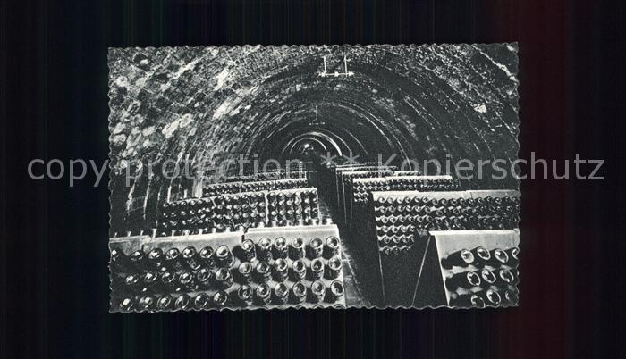 Wein Casa Codorniu San Sadurni de Noya Botellas en pupitres