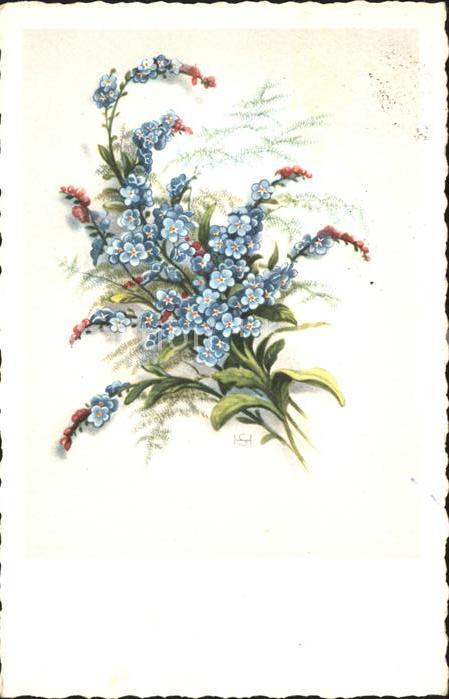 Blumen Vergissmeinnicht