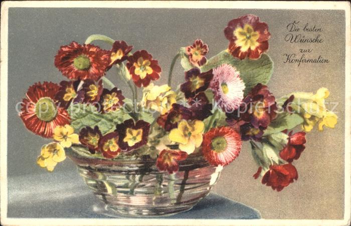 Konfirmation Massliebchen Primeln Schluesselblumen