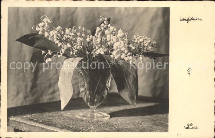 Maigloeckchen Vase