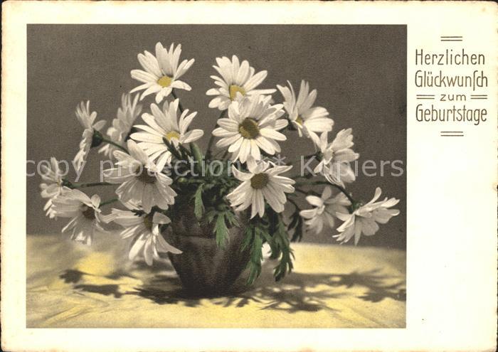 Geburtstag Margeriten