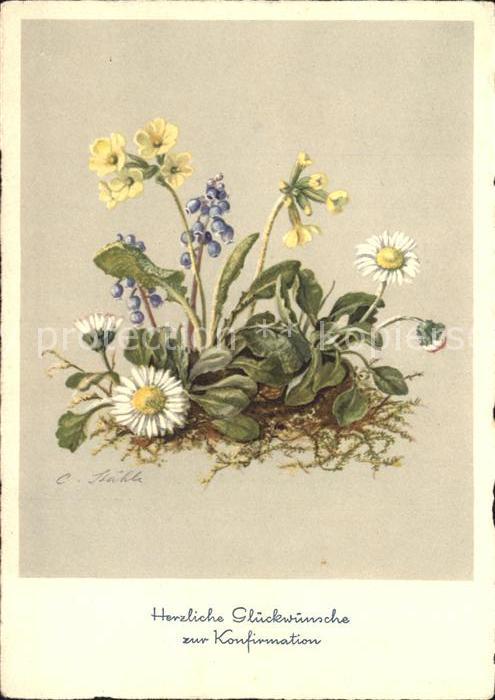 Konfirmation Gaensebluemchen Schluesselblumen