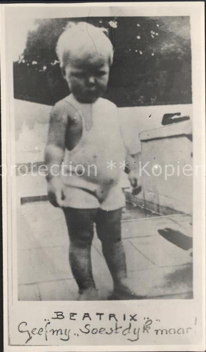 Adel Niederlande Prinzessin Beatrix