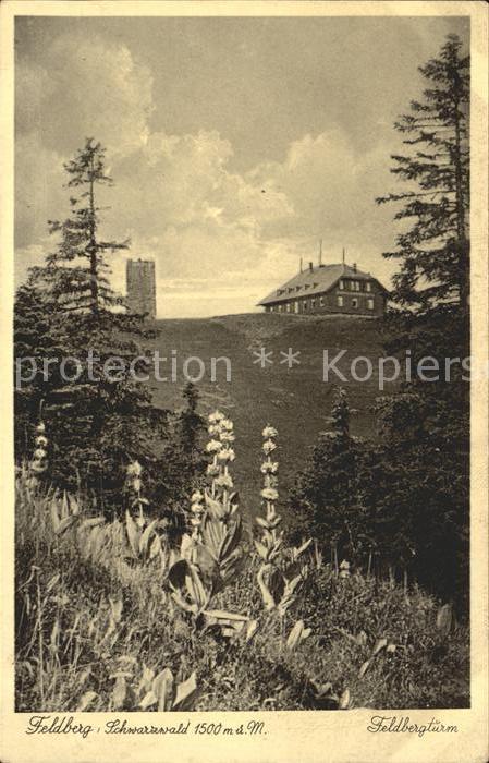 Feldberg Schwarzwald Feldbergturm