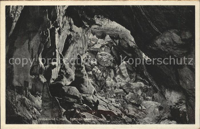 Ruebeland Harz Schildkroetenschlucht