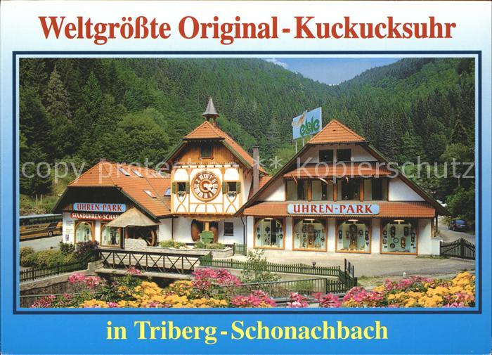 Schonachbach Weltgroesste Original Kuckucksuhr