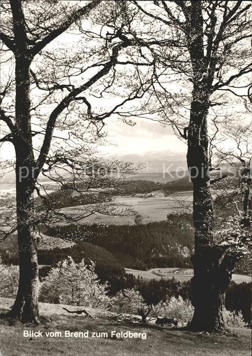 Feldberg Schwarzwald Blick vom Brend