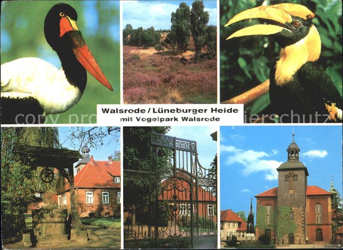 Walsrode Lueneburger Heide Vogelpark  Teilansichten