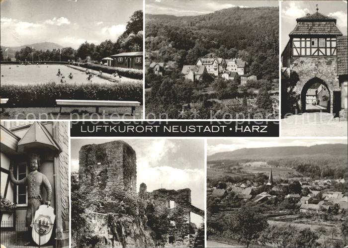 Neustadt Harz Schwimmbad Ruine Stadttor Panorama