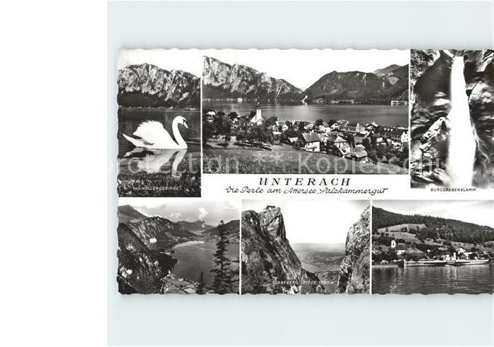 Unterach Attersee Schwan H?llengebirge Burggrabenklamm Schafbergspitze Schiff