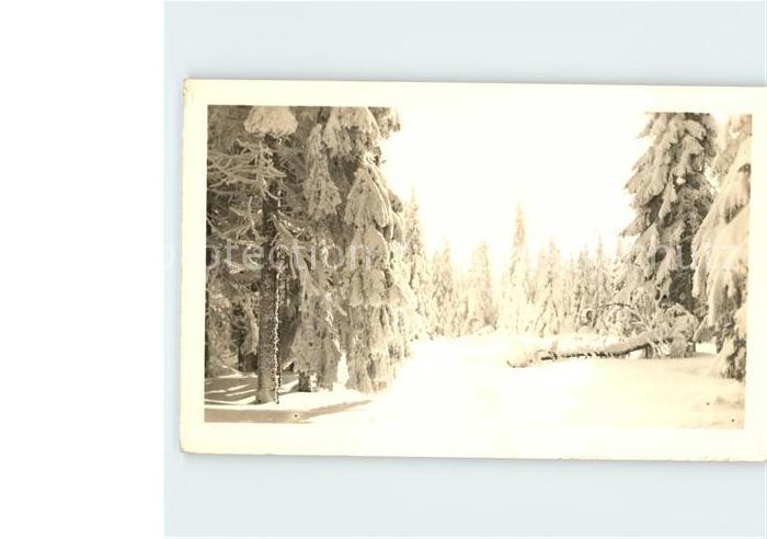 Masserberg Partie am Rennsteig