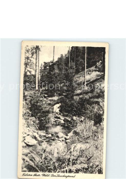 Tabarz Im Lauchagrund