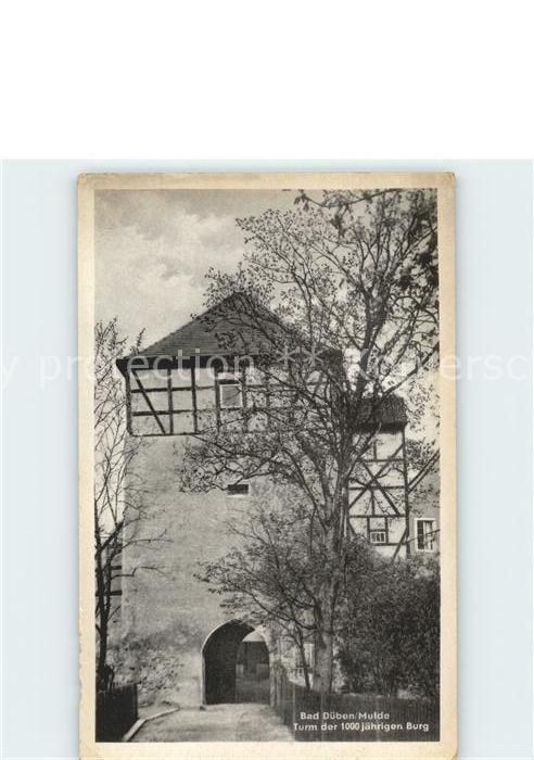 Bad Dueben Turm der 1000jaehrigen Burg