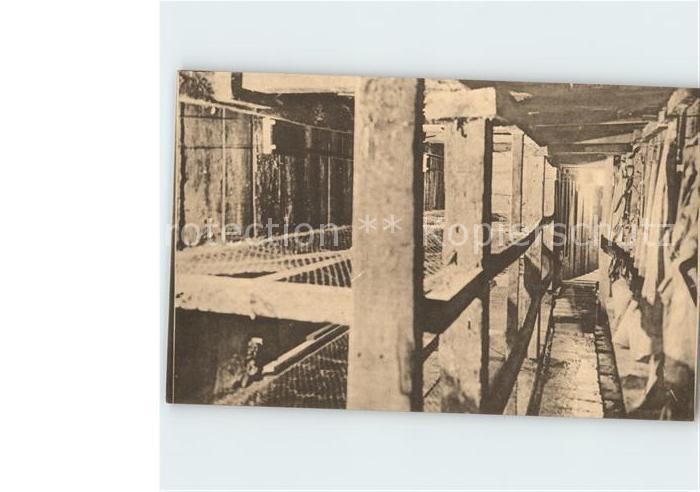 Zillebeke Oost-Vlaanderen Tunnels Tranchees